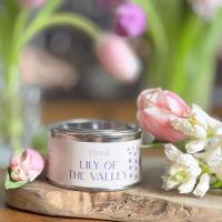 Pintail Candles Lily of the Valley Paint Pot Candle Extra Image 3 Preview